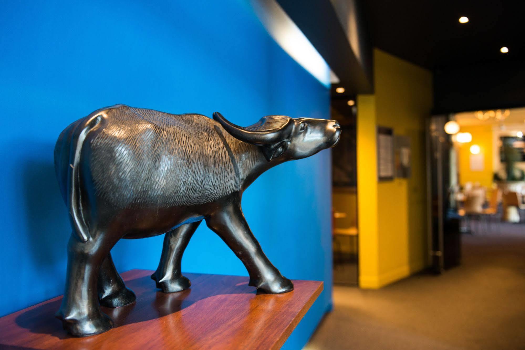 Black Buffalo Hobart Ngoại thất bức ảnh